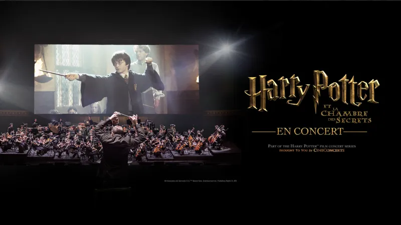 Harry Potter et la Chambre des Secrets™