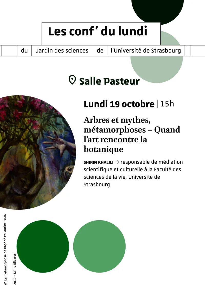 Conf&rsquo; du lundi | Arbres et mythes, métamorphoses – Quand l’art rencontre la botanique