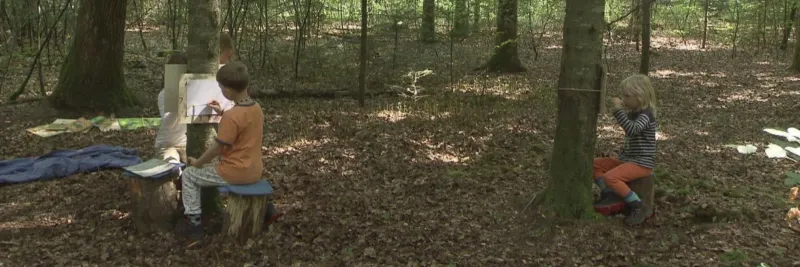 La forêt pour école de Sarah PERRIG (2020)