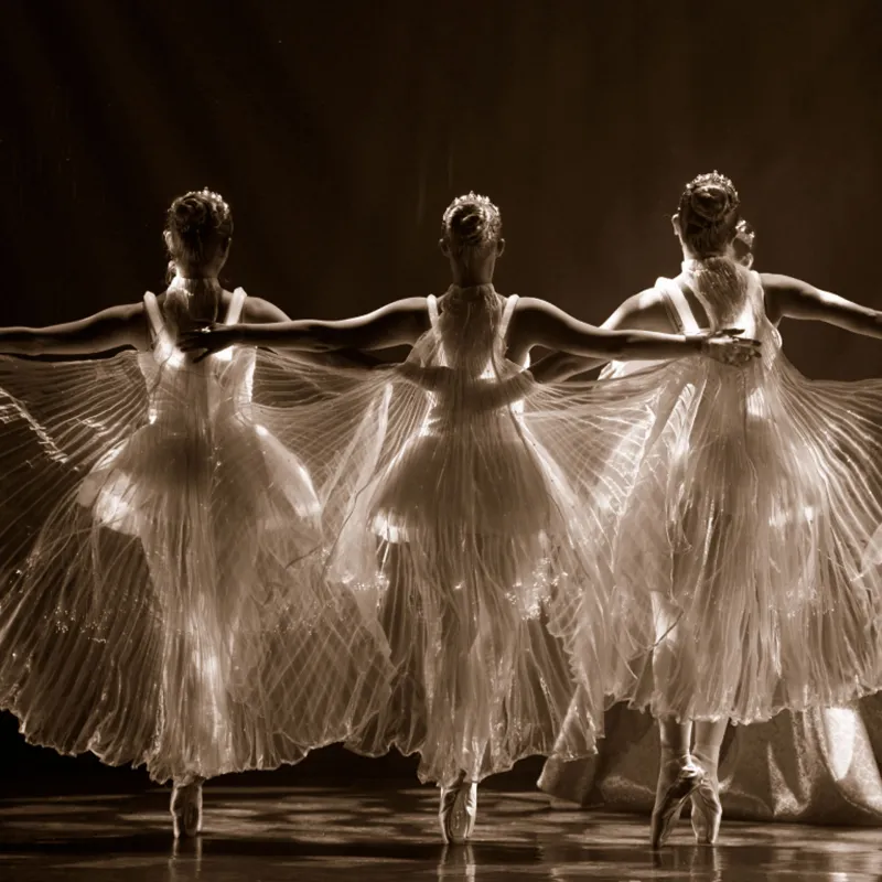 We call it Ballet