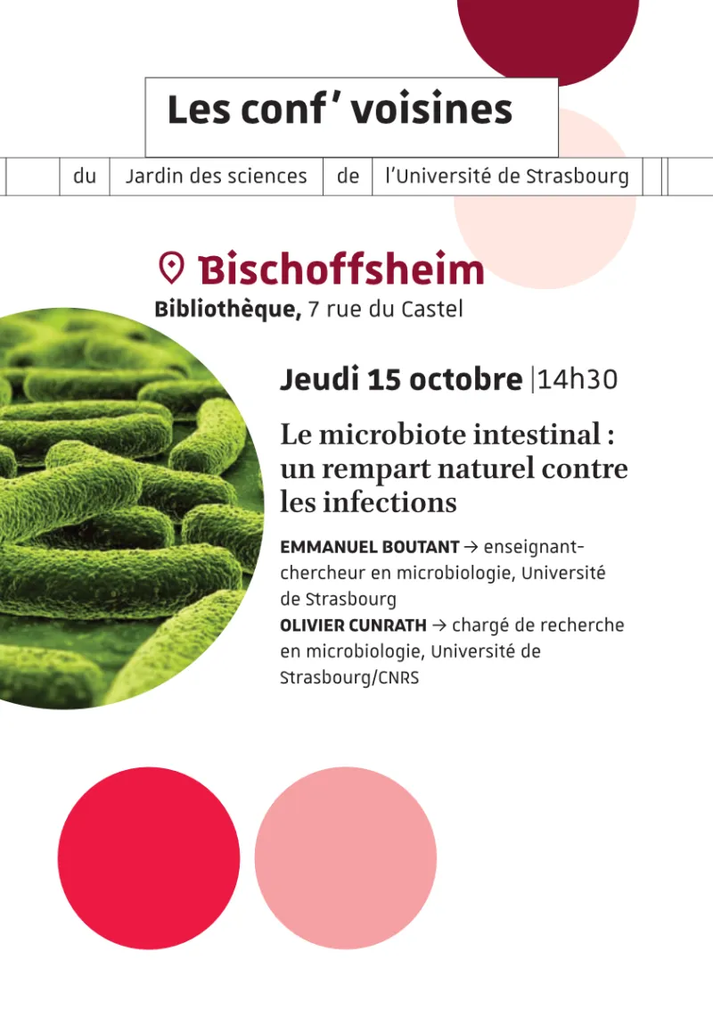 Conf&rsquo; voisines | Le microbiote intestinal : un rempart naturel contre les infections