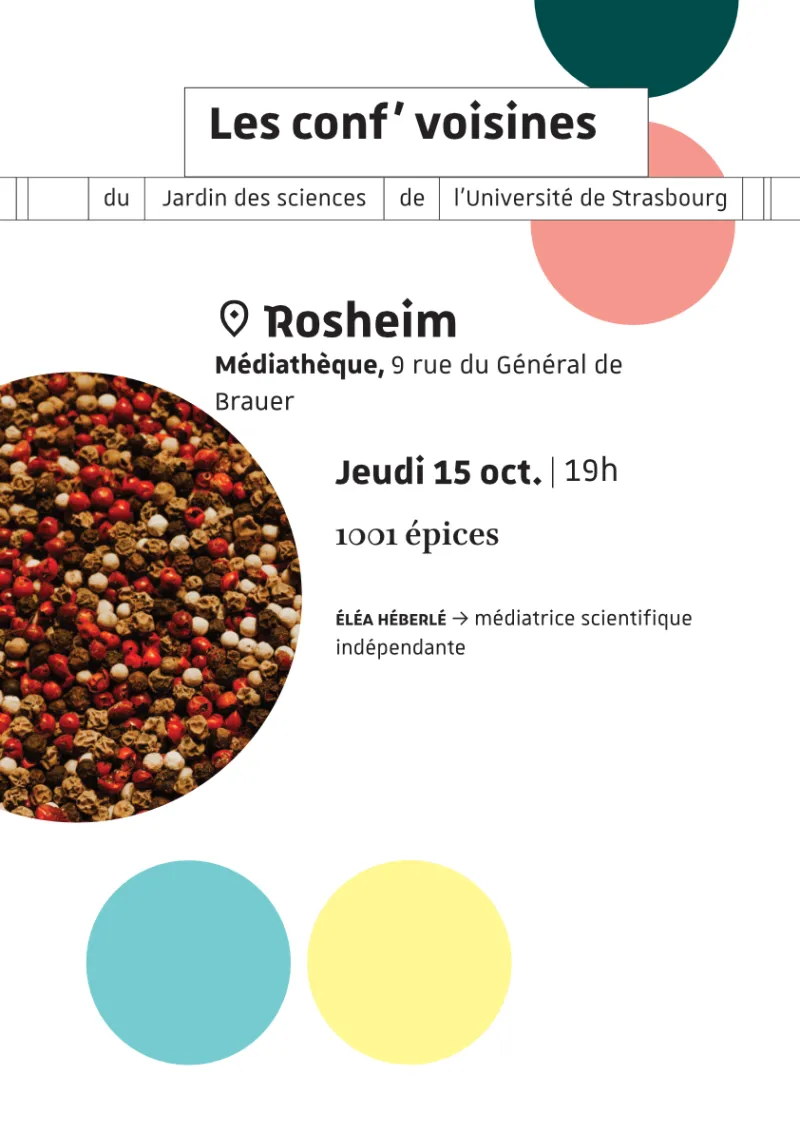 Conf&rsquo; voisines | 1001 épices