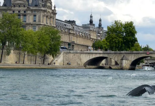 Humour : notre sélection de poissons d&rsquo;avril farfelus