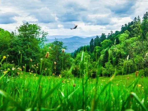 Coze Corner : l&rsquo;art de vivre en Alsace