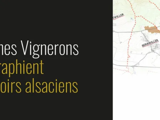 Une carte des terroirs alsaciens réalisée par les jeunes vignerons