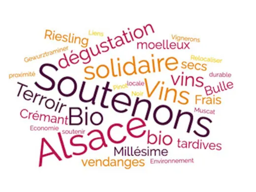 Bio en Grand Est renouvelle l&rsquo;opération « Soutenons les vignerons »
