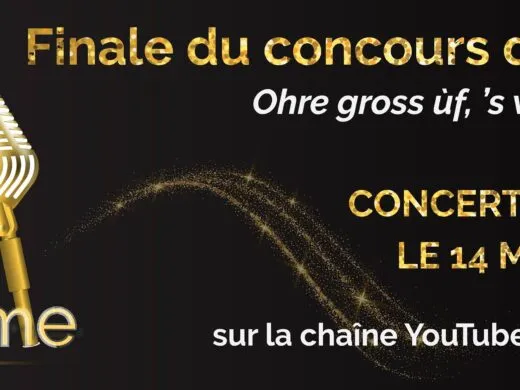Votez en ligne pour la finale du concours d’Stìmme 