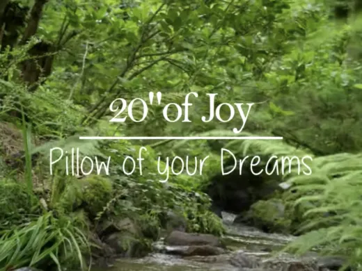 Clip : 20&Prime; of Joy – Pillow of your dreams