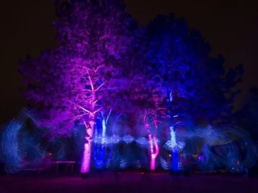 Découvrez la féérie de Rêve de lumières à Brumath