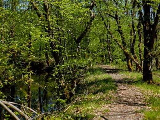 Les journées de la biodiversité à l&rsquo;Écomusée d&rsquo;Alsace