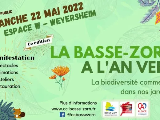La Basse-Zorn à l&rsquo;an vert