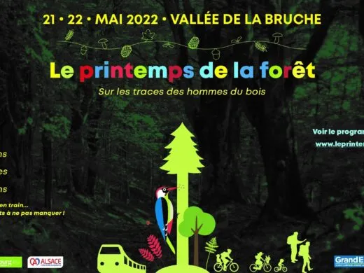 Le Printemps de la Forêt met à l&rsquo;honneur la nature et le développement durable