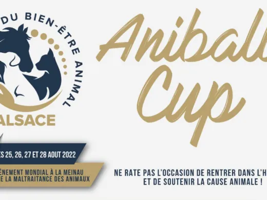 L&rsquo;Aniball Cup en soutien à la cause animale – ANNULÉ