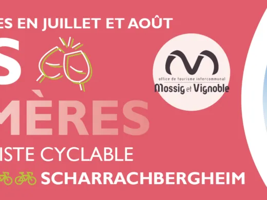 Des bars éphémères dans les vignobles alsaciens