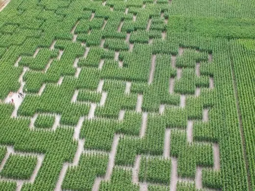 Un Pop Corn Labyrinthe cet été à Oberhausbergen