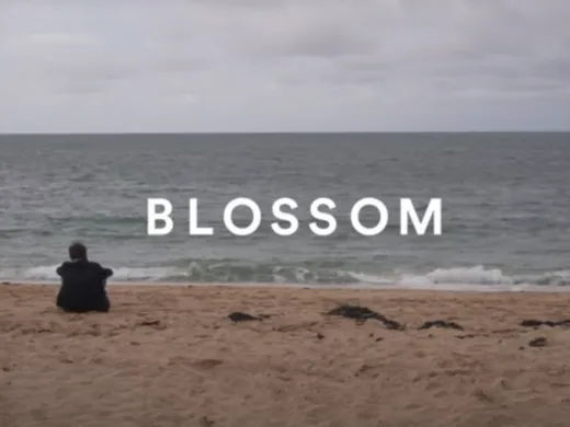 Clip : Zimmia – Blossom
