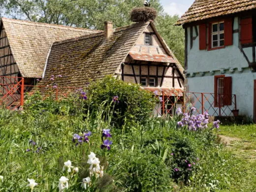 Les journées de la biodiversité à l’Écomusée