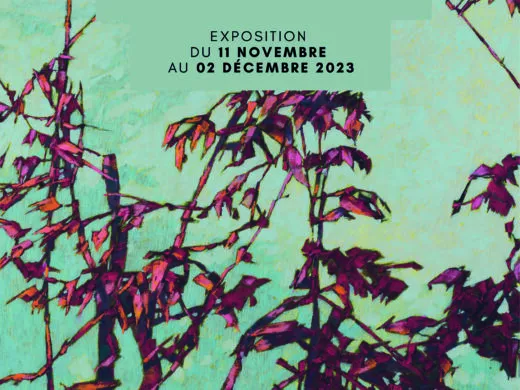 Christophe Wehrung – du 11 novembre au 02 décembre – Strasbourg