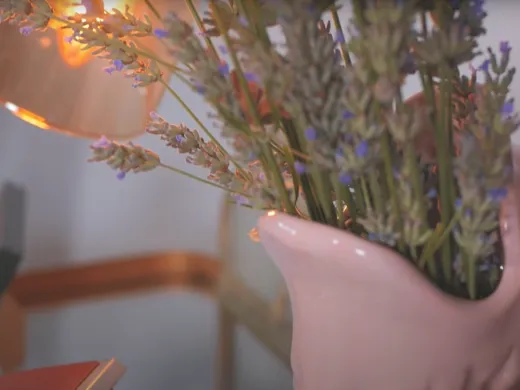 Clip : Nuit Pale – TV Program