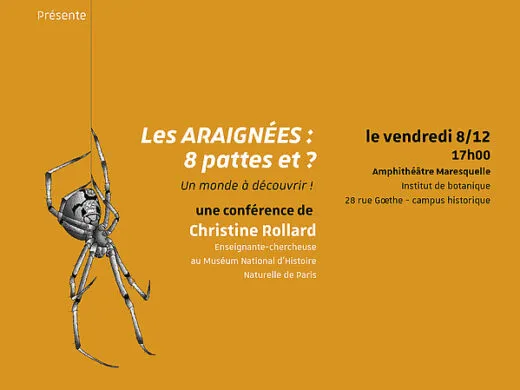 Des Araignées et des Humains (DADH) – du 4 décembre au 29 février – Strasbourg