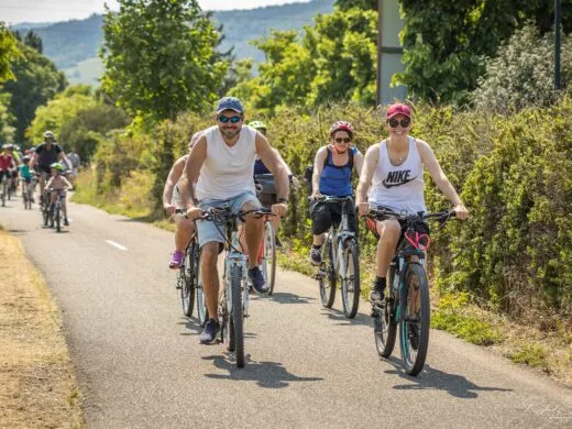 La Route des Vins à vélo, à pied ou en rollers : c&rsquo;est le SlowUp