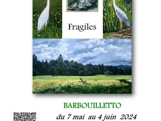 Exposition Fragiles – du 7 mai au 4 juin – Pulversheim