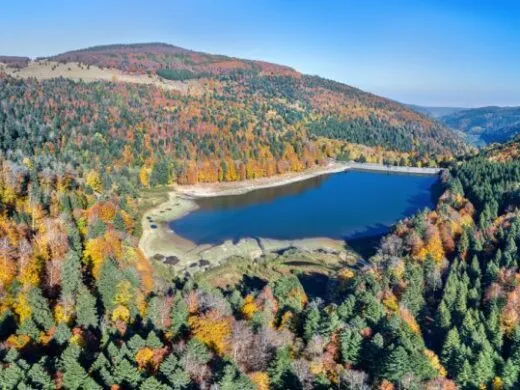 Découvrez notre sélection de randonnées à faire en Alsace