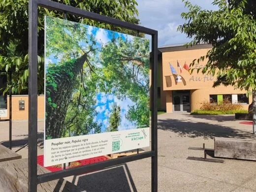 Exposition photographique « L&rsquo;Atlas de la biodiversité » – du 9 septembre au 28 septembre – Plobsheim