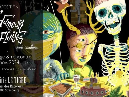 L&rsquo;Humeur des Fluides de Aude Carbone – jusqu&rsquo;au 18 janvier – Strasbourg