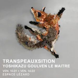 Exposition Transpeauxsition, Yoshikazu Goulven le maître – Du 10 janvier 2025 au 14 février – Colmar
