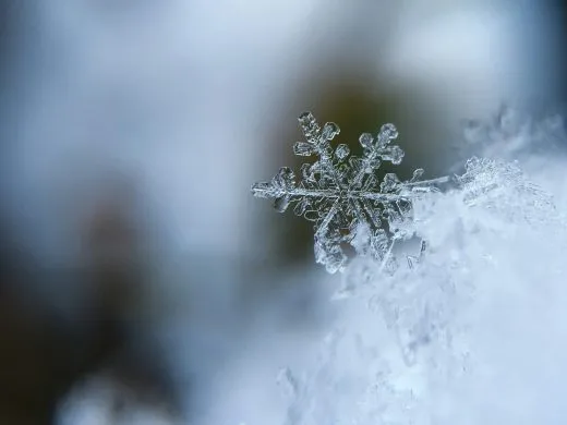 Que faire pendant les vacances d&rsquo;hiver en Alsace ? Notre sélection d&rsquo;événements !