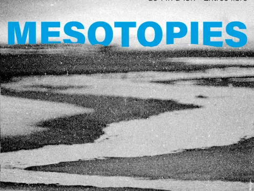 Exposition Mésotopies – du 8. février au 2 mars – Strasbourg