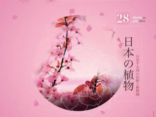 Expositon « Flora Japonica » – du 28 février au 23 mars 2025 – Strasbourg