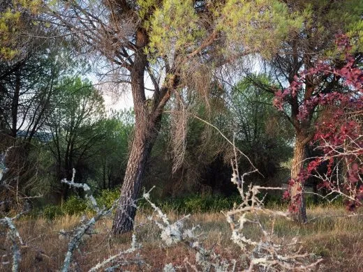 Exposition « Exister quelque part » – du 1er au 30 juin 2025 – Strasbourg