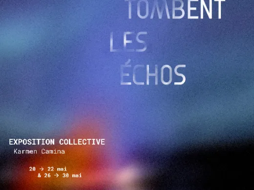 Exposition Où tombent les échos – Du 20 au 30 mai – Strasbourg