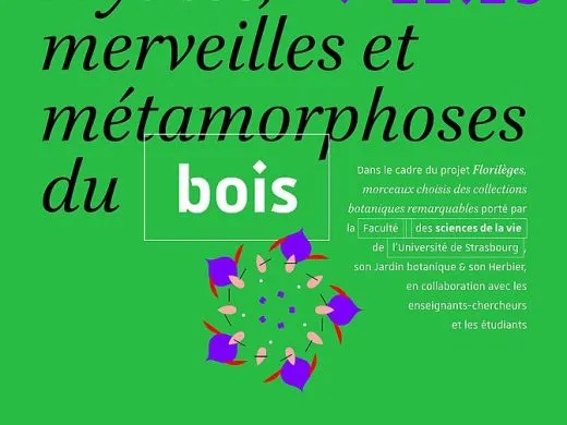 Exposition Mythes, Merveilles et Métamorphoses du Bois – Du 20 juin au 20 décembre – Strasbourg