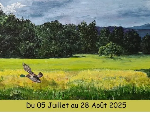 Flâneries – du 5 juillet au 28 aout – Ottmarsheim