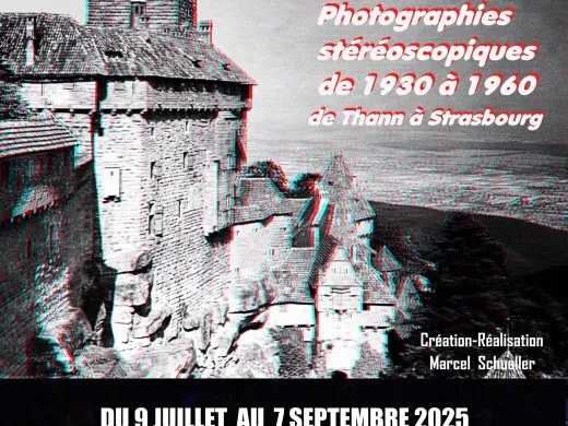 Grande exposition estivale, L’Alsace en 3D – du 9 juillet au 7 septembre – Mulhouse