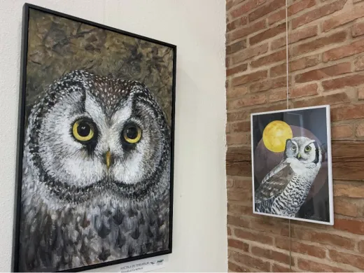 Exposition « Chouettes portraits ! » – du 7 juillet au 2 novembre 2025 – Hanau-La Petite Pierre