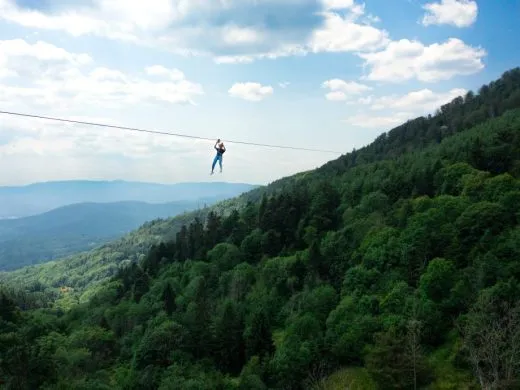 Sensations XXL en pleine forêt au Parc Alsace Aventure