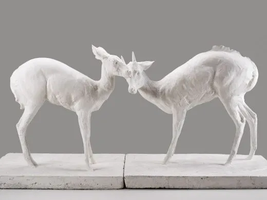 L&rsquo;état sauvage. L&rsquo;animal dans les collections du MAMCS et du Musée Zoologique – Du 13 février au 12 juillet 2026 – Strasbourg
