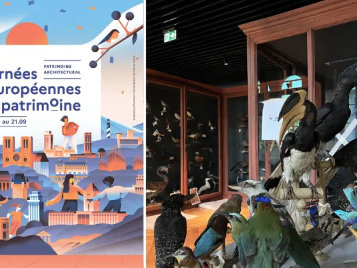 Le Musée Zoologique de Strasbourg réouvre ses portes lors des Journées du Patrimoine !