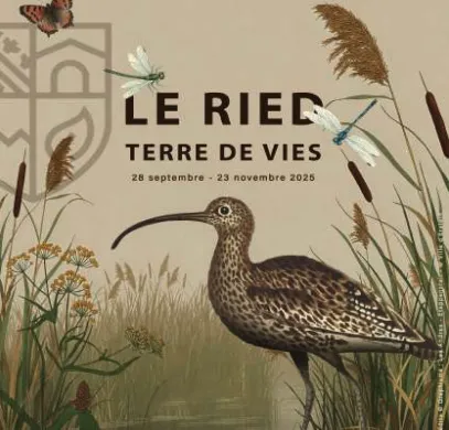 Le Ried, terre de vies – du 28 septembre au 23 novembre – Erstein