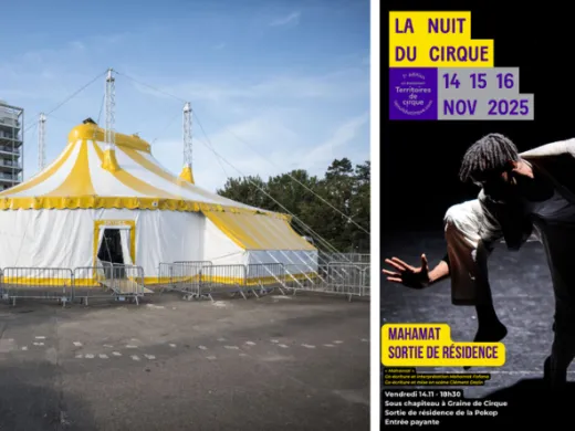 Strasbourg fête la Nuit du Cirque avec Graine de Cirque !