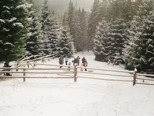 Notre sélection d&rsquo;activités pour les vacances d&rsquo;hiver 2025
