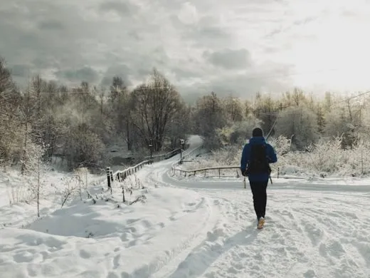 5 randonnées à faire en Alsace cet hiver : découvrez notre sélection !