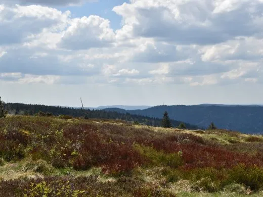 Redécouvrir l’Alsace hors saison : notre guide pratique !