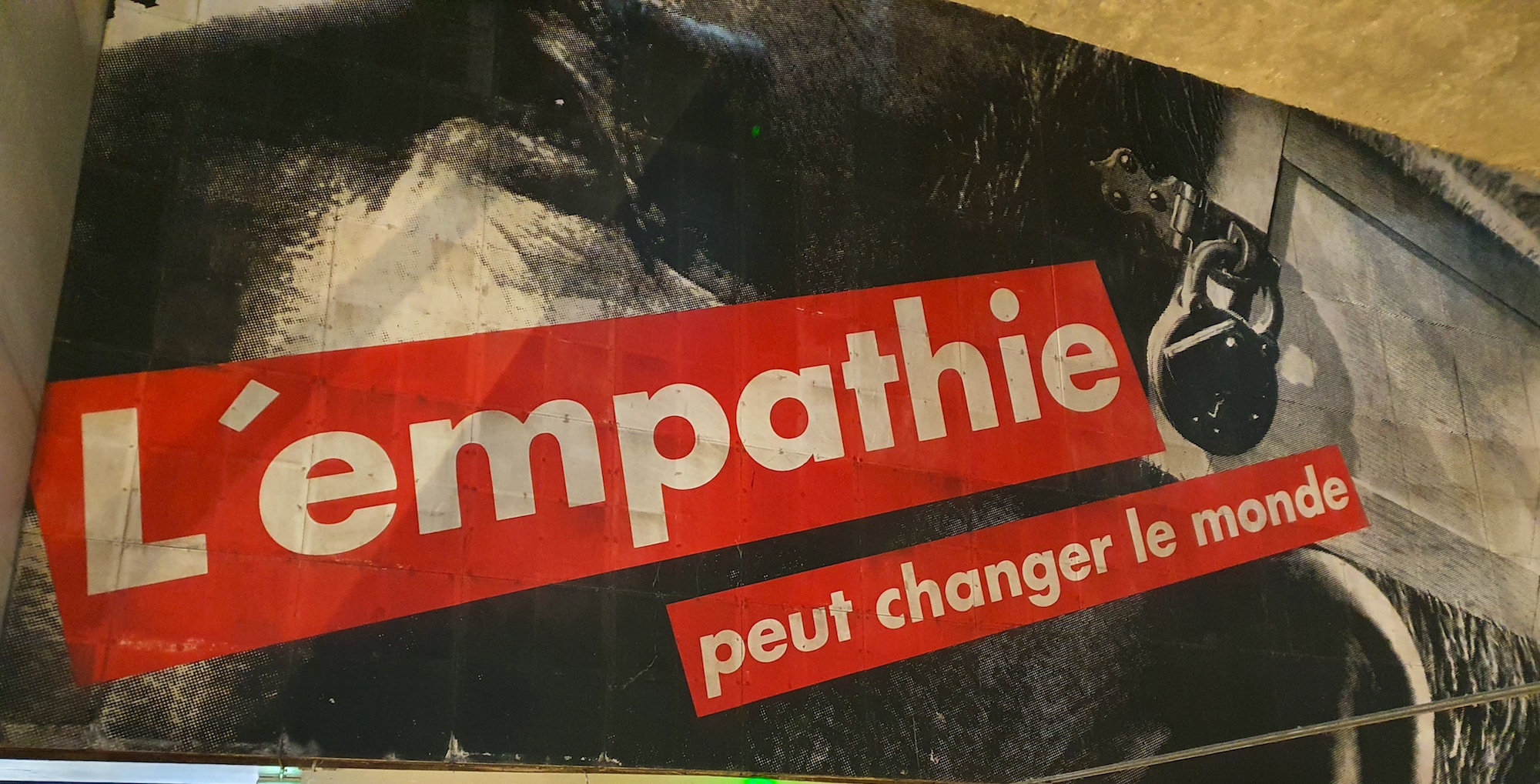Barbara Kruger Strasbourg