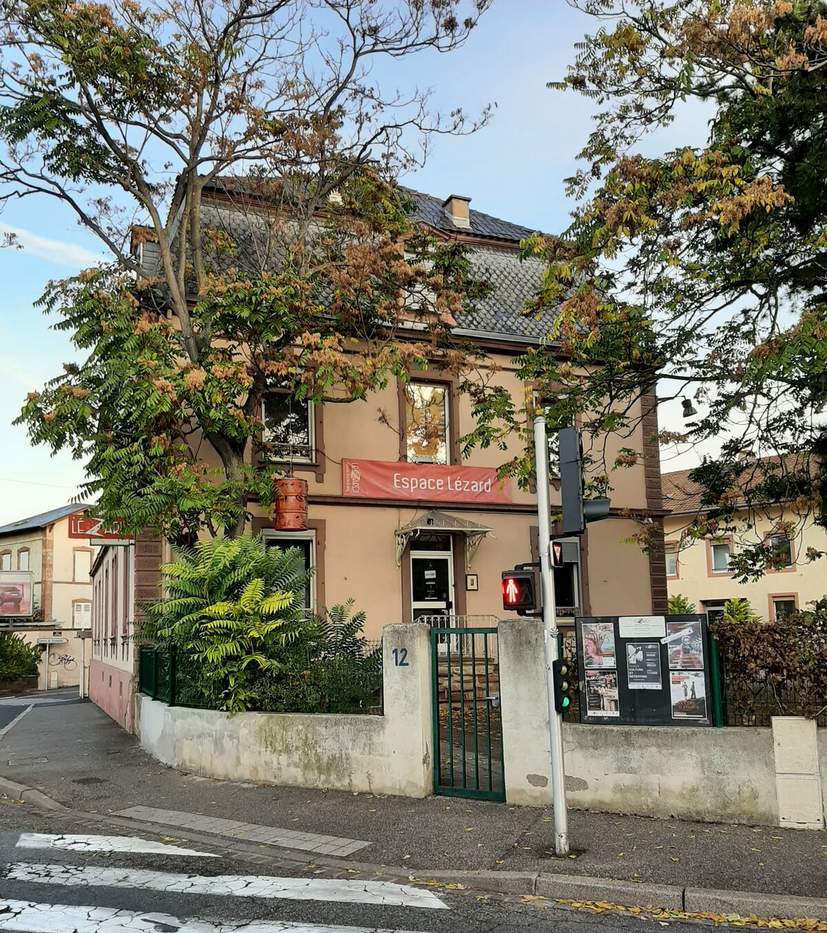 espace lézard