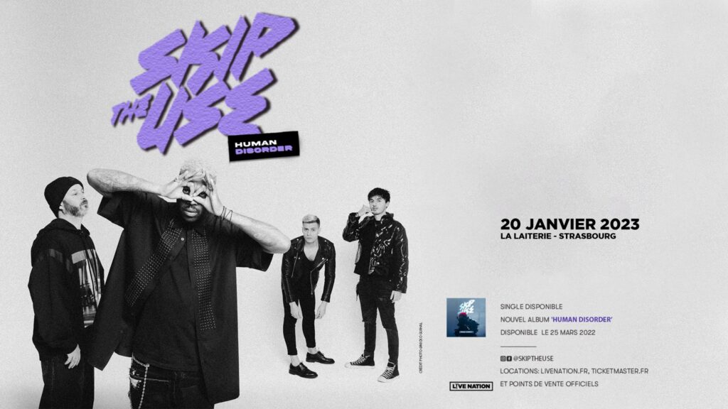 skip the use concert strasbourg la laiterie